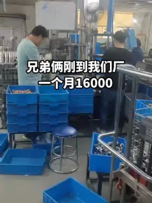 手足同心筑夢(mèng)廠區(qū)，兄弟合力點(diǎn)亮人生